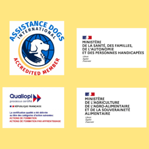 Logo Assistance dog international, certification qualiopi, labellisation par le ministère de l'agriculture
