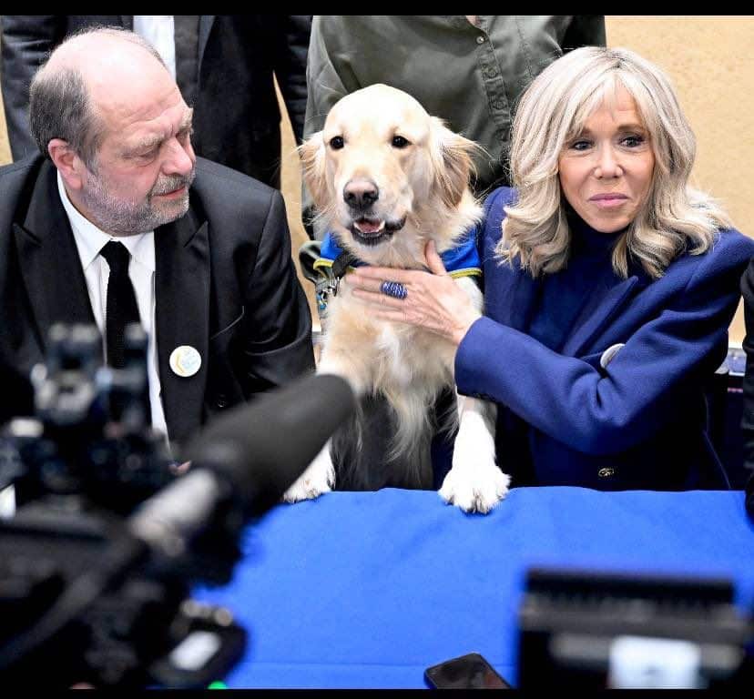 Eric Dupond-Moretti et Brigitte Macron entourent Ouchi, chien d'assistance judiciaire lors de la conférence de presse