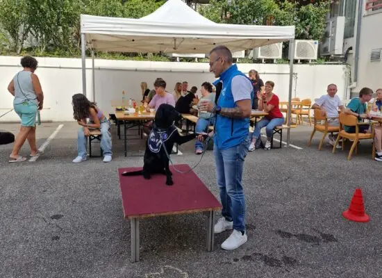 Journée portes ouverts Centre de formation HANDI'CHIENS Kunheim