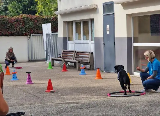 Journée portes ouverts Centre de formation HANDI'CHIENS Kunheim