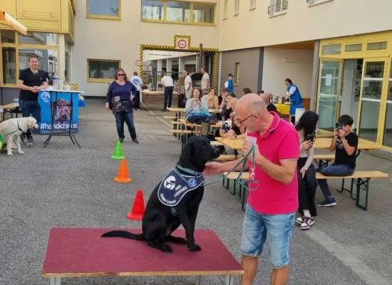 Journée portes ouverts Centre de formation HANDI'CHIENS Kunheim