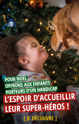 Pour Noël, offrons aux enfants porteurs d'un handicap l'espoir d'accueillir leur super-héros