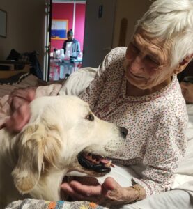 Une femme âgée regarde avec douceur Titan, chien d'assistance HANDI'CHIENS