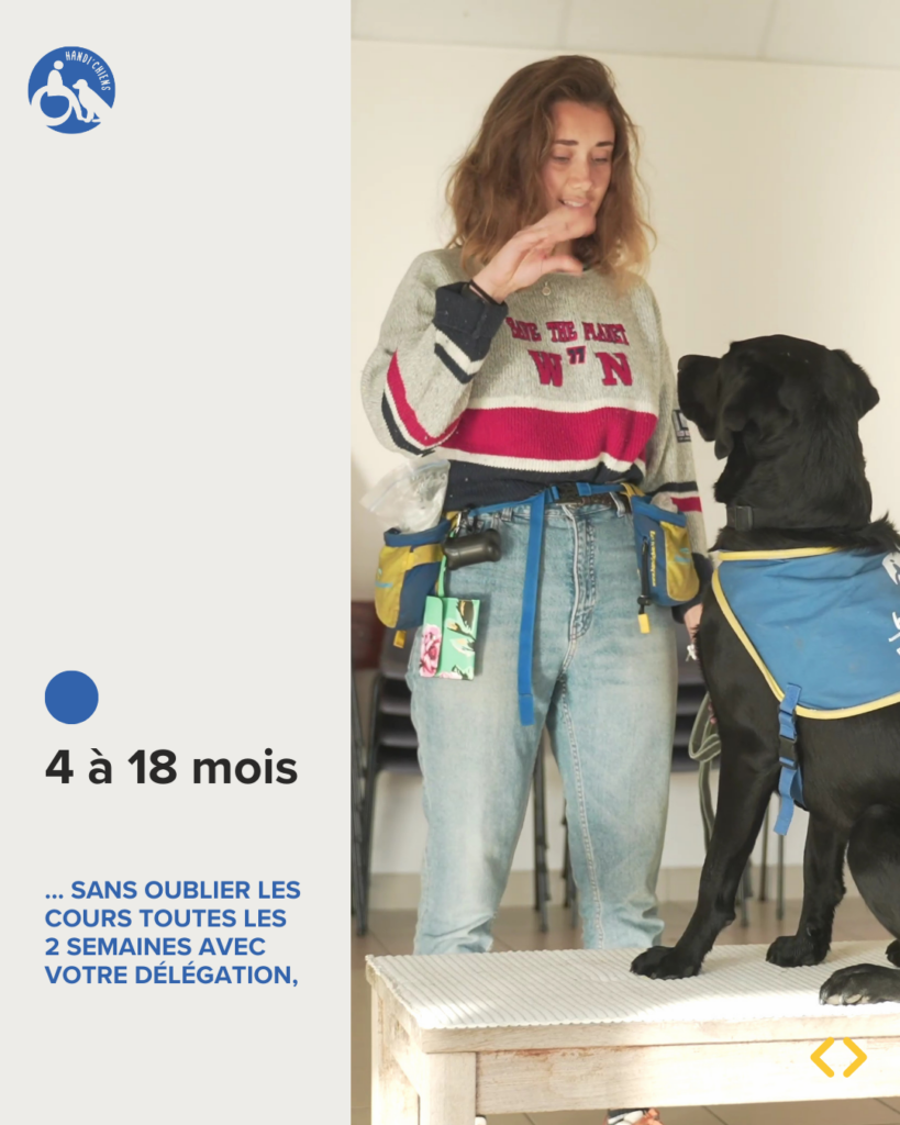 4 à 18 mois : sans oublier les cours toutes les 2 semaines avec votre délégation
