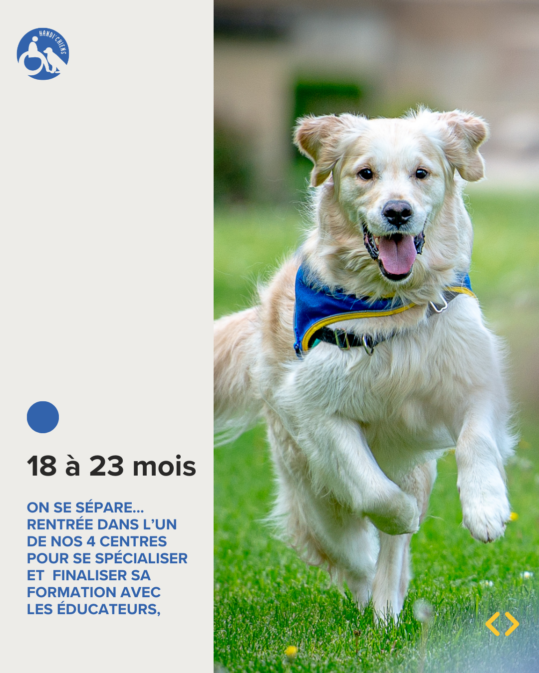 18 à 23 mois : on se sépare...rentrée dans l'un de nos 4 centres pour se spécialiser et finaliser sa formation avec les éducateurs et éducatrices