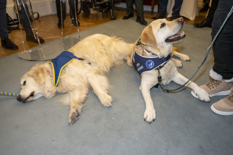 Décoration par Brigitte Klinket, Questeure, de TOBY 500e Chien d’Assistance à mission collective de l’Association Handi’Chiens présidée par M. Robert Kohler, à l'Assemblée nationale le 26 mars 2025.