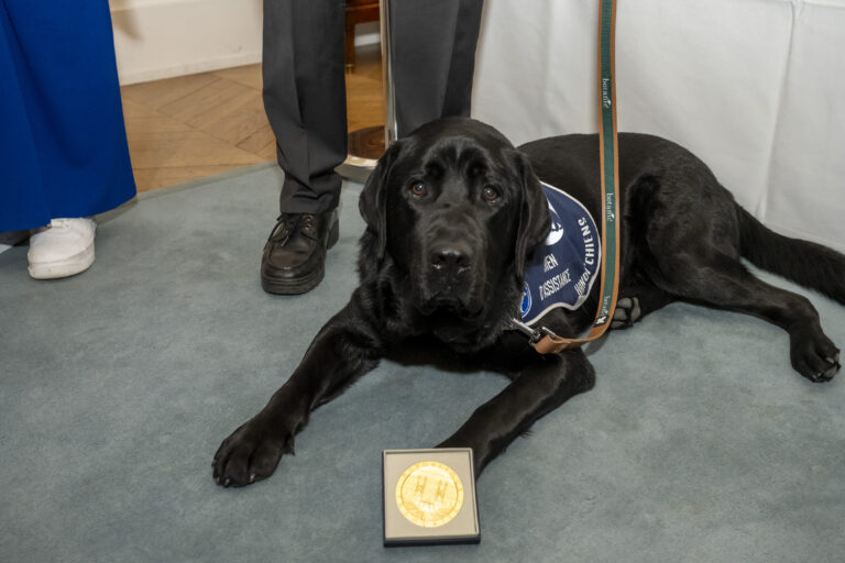 Décoration par Brigitte Klinket, Questeure, de TOBY 500e Chien d’Assistance à mission collective de l’Association Handi’Chiens présidée par M. Robert Kohler, à l'Assemblée nationale le 26 mars 2025.