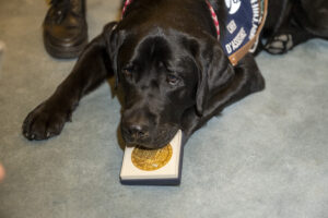 Toby, 500ème chien d'assistance à Mission Collective HANDI'CHIENS mis à l'honneur à l'Assemblée Nationale