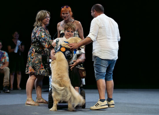 2BS - CEVA - CEREMONIE HANDICHIENS - EXPORT RAPIDE --65