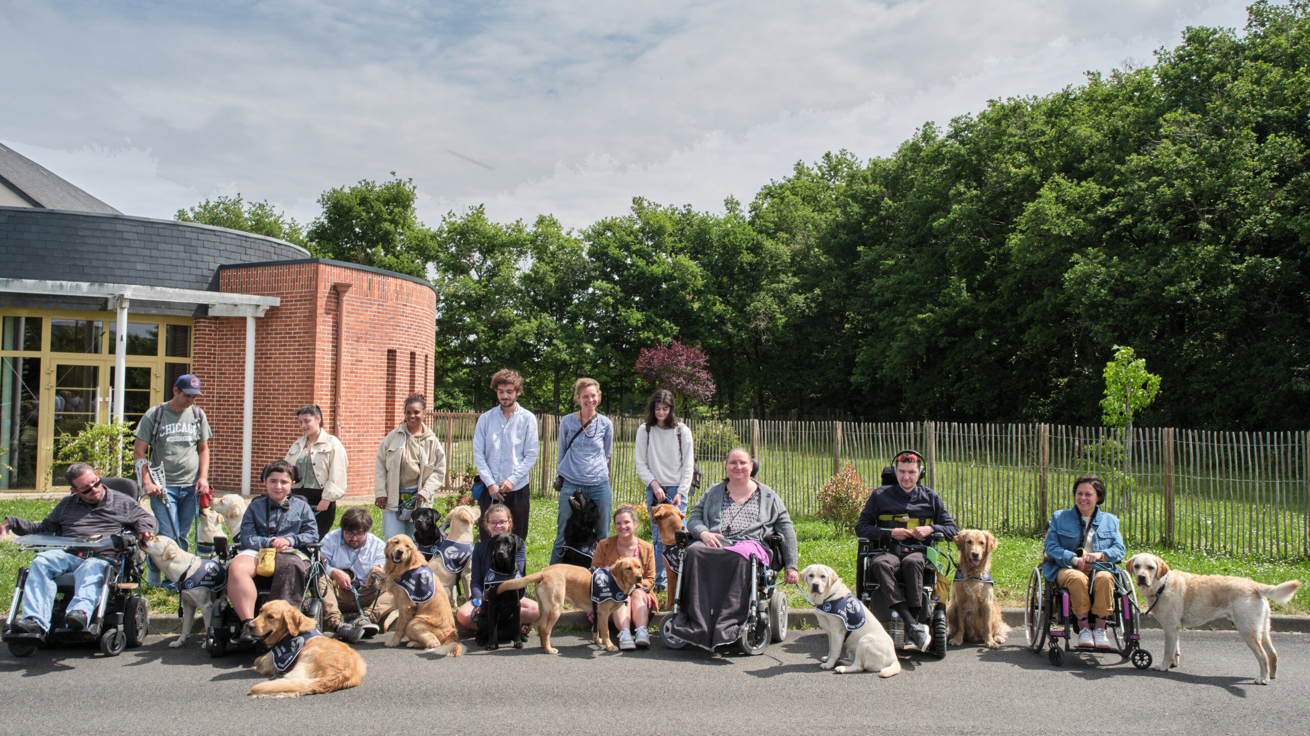 Stage chiens d'assistance mai 2025 HANDI'CHIENS Val-de-Loire