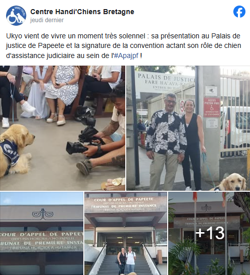 Ukyo, chien d’assistance judiciaire présenté au Palais de justice de Papeete