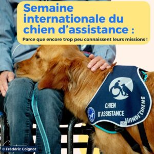 Semaine du chien d'assistance avec HANDI'CHIENS