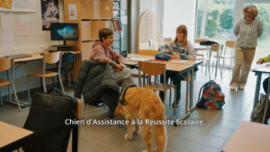 CARS apprentissage