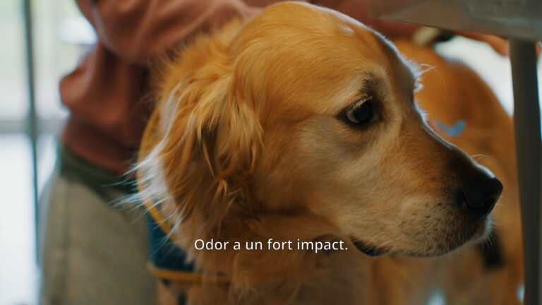 Odor