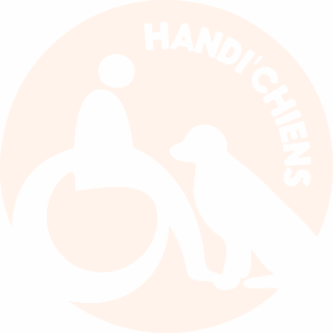 Logo HANDI'CHIENS Cream