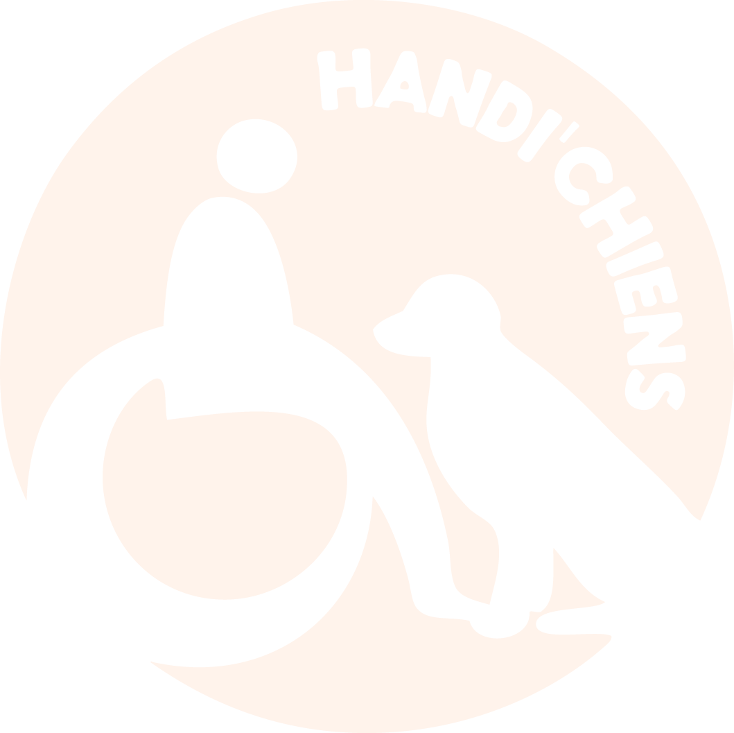 HANDICHIENS