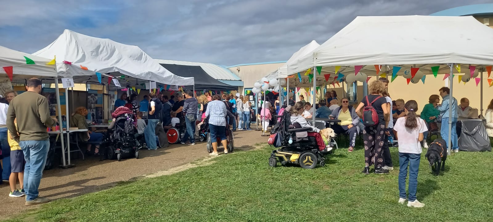 Journée portes ouvertes HANDI'CHIENS Lyon