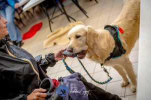 Stage Lyon Frédéric Coignot pour HANDI'CHIENS (1)