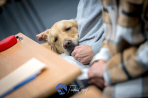 Stage Lyon Frédéric Coignot pour HANDI'CHIENS (13)