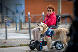 Stage Lyon Frédéric Coignot pour HANDI'CHIENS (16)