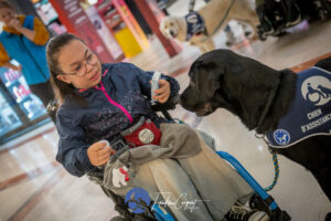 Stage Lyon Frédéric Coignot pour HANDI'CHIENS (7)