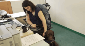 Chien d’assistance HANDI’CHIENS lors d’une action de sensibilisation en entreprise pendant la SEEPH 2025.
