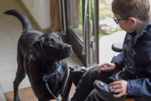 Gabin, jeune garçon myopathe, aux côtés de son chien d’assistance Smoothie, remis par HANDI’CHIENS grâce au soutien de l’AFM-Téléthon.