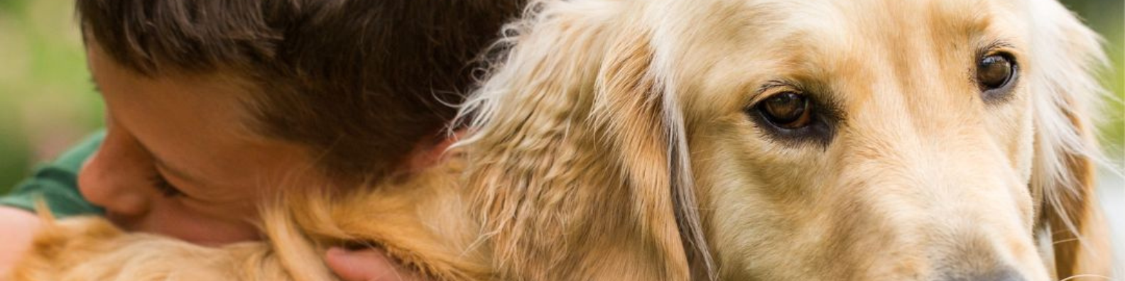 Re.donner du chien à la vie (1)